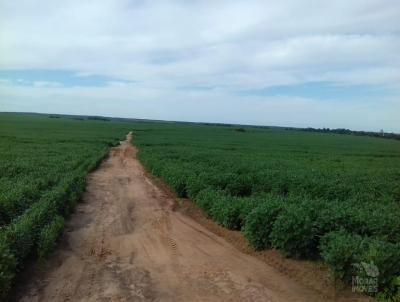 Fazenda para Venda, em Ribeiro Cascalheira, bairro 000