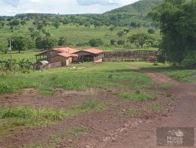 Fazenda para Venda, em Campinpolis, bairro 000