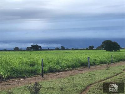 Fazenda para Venda, em Ribeiro Cascalheira, bairro 000