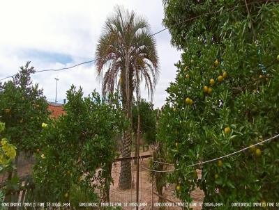 Terreno para Venda, em Guaba, bairro Altos da Alegria