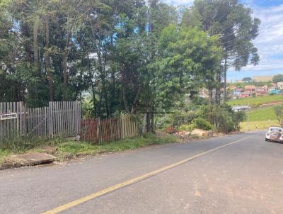 Terreno para Venda, em Telmaco Borba, bairro Parque Limeira rea III