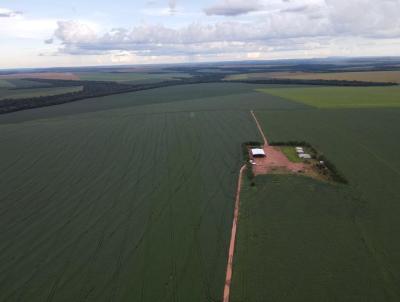 Fazenda para Venda, em Novo So Joaquim, bairro 000