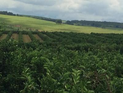 Fazenda para Venda, em Botucatu, bairro Centro