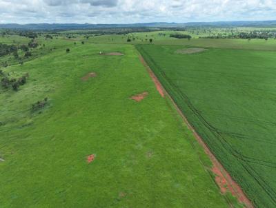 Fazenda para Venda, em Campinpolis, bairro 000