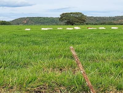 Fazenda para Venda, em Goiatins, bairro 000