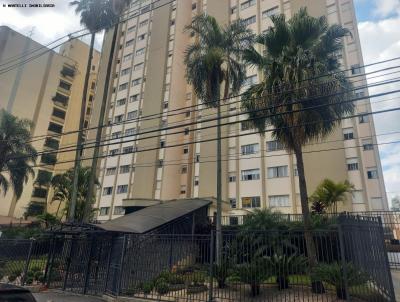 Apartamento para Venda, em Campinas, bairro Jardim Paraso, 3 dormitrios, 2 banheiros, 1 vaga