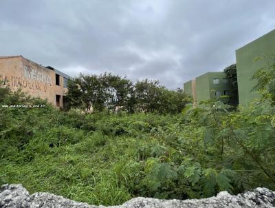 Terreno para Venda, em So Paulo, bairro Santo Amaro