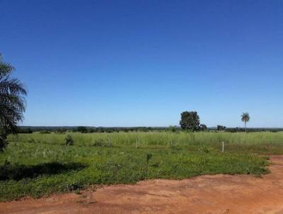 Fazenda para Venda, em So Domingos, bairro Zona Rural