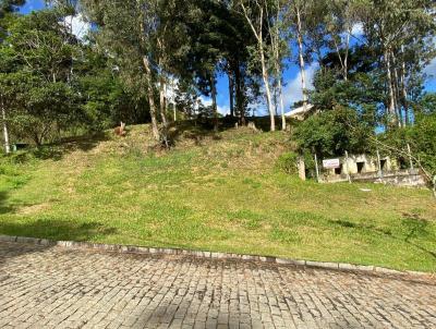 Lote para Venda, em Terespolis, bairro Vargem Grande