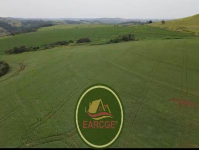 Fazenda para Venda, em , bairro Solicite KMZ para sua anlise, regio de Cascavel