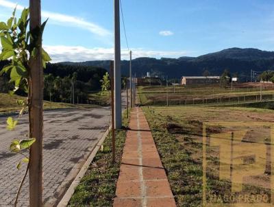 Terreno para Venda, em Sapiranga, bairro So Jac