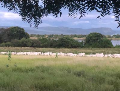 Fazenda para Venda, em Muqum de So Francisco, bairro Fazenda Riacho