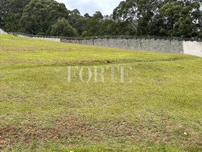 Terreno para Venda, em Santana de Parnaba, bairro Tambor