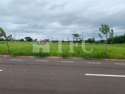 Terreno para Venda, em Araatuba, bairro Petit-Trianon