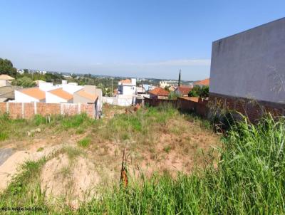 imagem-miniatura