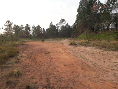 Terreno Industrial para Venda, em Mairipor, bairro Terra Preta