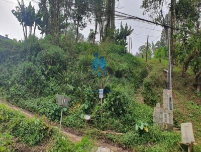 Terreno para Venda, em Rio Grande da Serra, bairro Parque Amrica