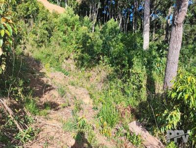 Lote em Condomnio Fechado para Venda, em Terespolis, bairro Prata