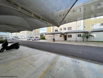 imagem-miniatura
