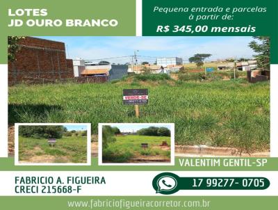 Lote para Venda, em Valentim Gentil, bairro Ouro Branco