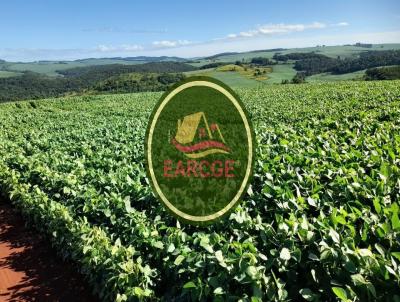 Fazenda para Venda, em , bairro Solicite KMZ, Regio de Maua da Ser