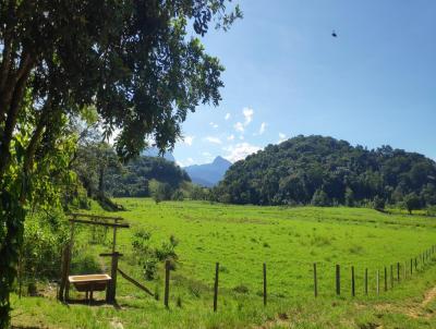 Fazenda para Venda, em Cachoeiras de Macacu, bairro QUIZANGA, 6 dormitrios, 7 banheiros, 5 sutes, 3 vagas