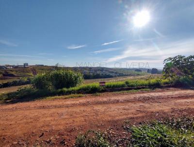 Terreno para Venda, em Trindade do Sul, bairro Centro