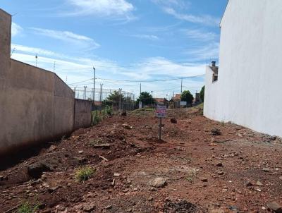 Terreno para Venda, em So Joo do Iva, bairro Jardim Maria Eduarda