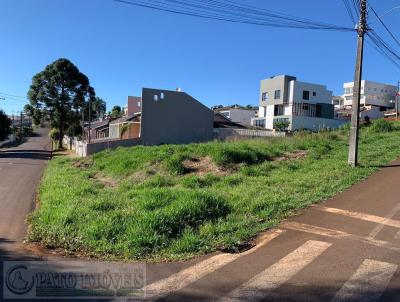 Terreno para Venda, em Pato Branco, bairro Cristo Rei