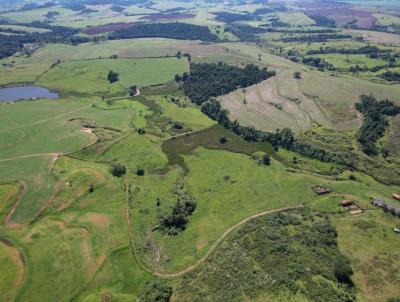 Fazenda para Venda, em Mococa, bairro Zona Rural