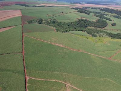 Fazenda para Venda, em Guatapar, bairro Zona Rural