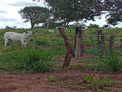 Stio para Venda, em Lucas do Rio Verde, bairro Rural, 2 dormitrios, 1 banheiro