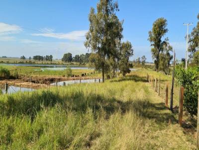 rea Rural para Venda, em Camaqu, bairro .