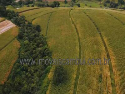 Fazenda para Venda, em Baependi, bairro 