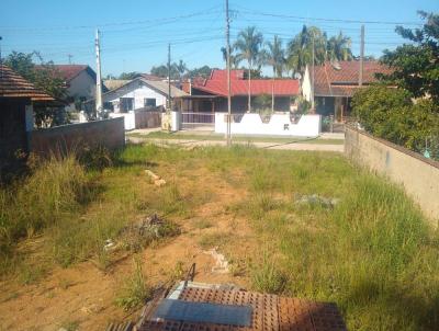 Terreno para Venda, em Balnerio Barra do Sul, bairro Pinheiros