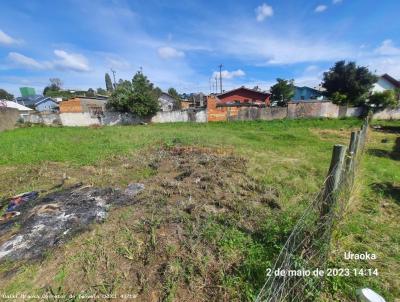 Lote para Venda, em , bairro Conjunto Habitacional Anita Garibaldi