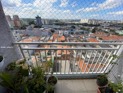 Apartamento para Venda, em Santo Andr, bairro Vila Homero Thon, 3 dormitrios, 1 banheiro, 1 vaga