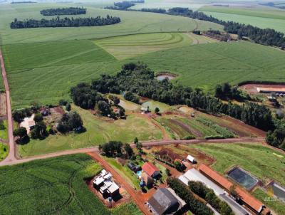 Chcara para Venda, em Toledo, bairro SEDE ALVORADA