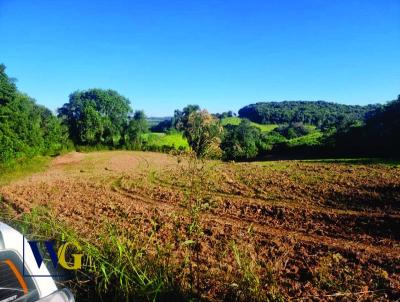 Chcara para Venda, em Balsa Nova, bairro Colnia Balbino Cunha