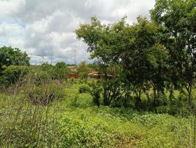 Lote para Venda, em Jaba, bairro Campos Altos