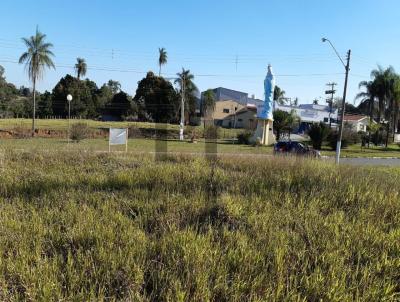 Terreno para Venda, em Ipena, bairro JARDIM DAS ORQUDIAS