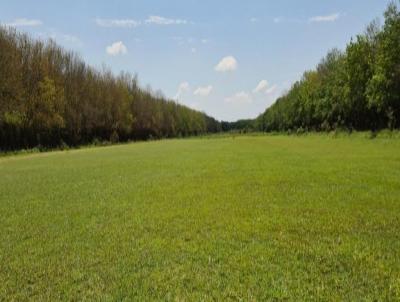 Fazenda para Venda, em Presidente Prudente, bairro Vila Marcondes