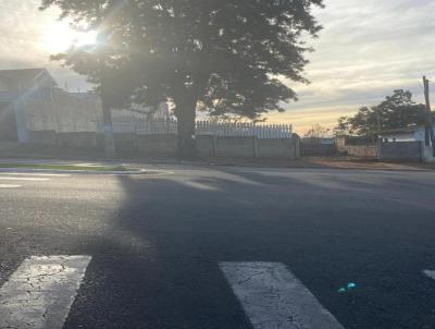 Terreno para Locao, em , bairro Centro