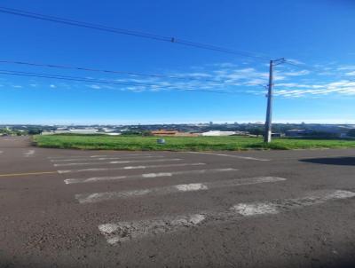 Terreno Urbano para Venda, em Umuarama, bairro Jardim Nova Amrica