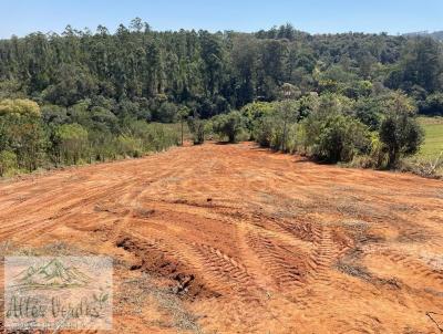 Terreno para Venda, em Pedra Bela, bairro Centro