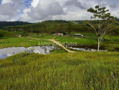 Fazenda para Venda, em Drio Meira, bairro Zona Rural