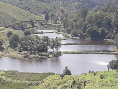 Fazenda para Venda, em Ipia, bairro Zona Rural