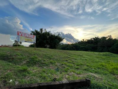 Terreno para Venda, em Presidente Prudente, bairro Jardim das Rosas