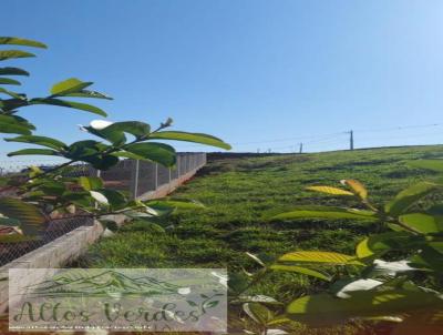 Terreno para Venda, em Pinhalzinho, bairro Vento forte