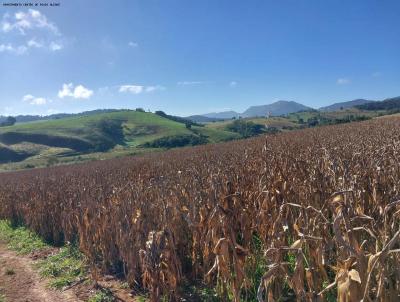 rea Rural para Venda, em So Sebastio da Bela Vista, bairro Furnas